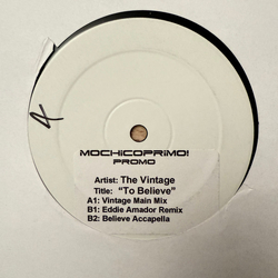 The Vintage To Believe Vinyl 12" USED