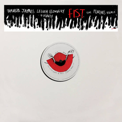 Joshua James (5) / Leigh Bowery / Minty Fist Vinyl 12" USED