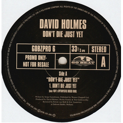 David Holmes Don't Die Just Yet Vinyl 12" USED