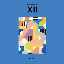 Various XII 2020 Vinyl LP USED