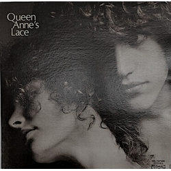 Queen Anne's Lace Queen Anne's Lace Vinyl LP USED