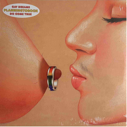 Planningtorock Gay Dreams Do Come True Vinyl 12" USED