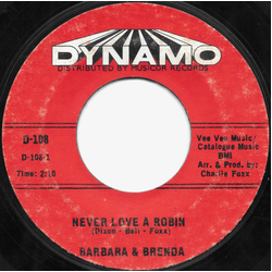 Barbara And Brenda Never Love A Robin / Sally's Party Vinyl 7" USED