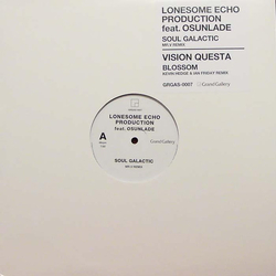 Lonesome Echo Production / Osunlade / Vision Questa Soul Galactic (Mr.V Remix) / Blossom (Kevin Hedge & Ian Friday Remix) Vinyl 12" USED