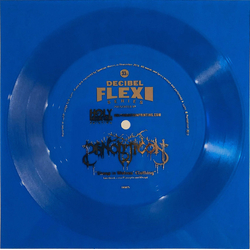 Panopticon (6) Sheep In Wolves' Clothing Flexi-disc USED
