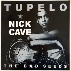 Nick Cave & The Bad Seeds Tupelo Vinyl 12" USED