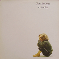 Tears For Fears The Hurting Vinyl LP USED
