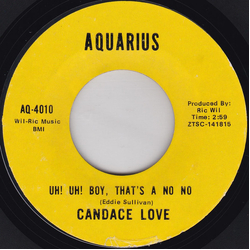 Candace Love Uh! Uh! Boy, That's A No No / Wonderful Night Vinyl 7" USED
