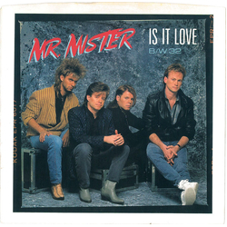 Mr. Mister Is It Love Vinyl 7" USED