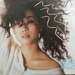 Sandy Lam 灰色 Vinyl LP USED