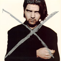 Lloyd Cole Lloyd Cole Vinyl LP USED