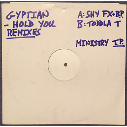 Gyptian Hold You Vinyl 12" USED
