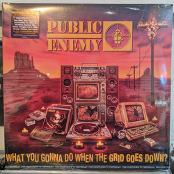 Public Enemy What You Gonna Do When The Grid Goes Down? Vinyl LP USED