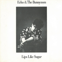 Echo & The Bunnymen Lips Like Sugar Vinyl 7" USED