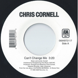 Chris Cornell Can't Change Me Vinyl 7" USED