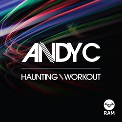 Andy C Haunting / Workout Vinyl 12" USED