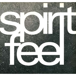 Spirit Feel Rejoice Vinyl 12" USED
