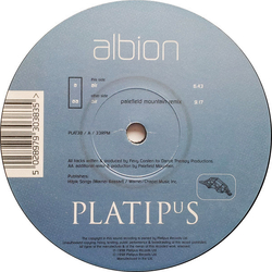 Albion Air Vinyl 12" USED