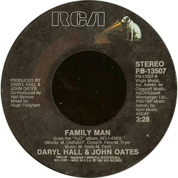 Daryl Hall & John Oates Family Man Vinyl 7" USED