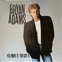 Bryan Adams You Want It, You Got It Vinyl LP USED