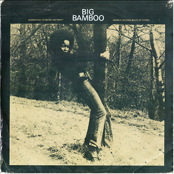 Various Big Bamboo Sample Vinyl LP USED