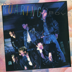 Roaring Boys Roaring Boys Vinyl LP USED