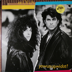 cc: DIVA Yowusupwidat? Vinyl LP USED