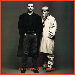 Pet Shop Boys So Hard Vinyl 12" USED
