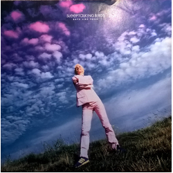 Sleeptalking Birds Days Like These Vinyl 12" USED