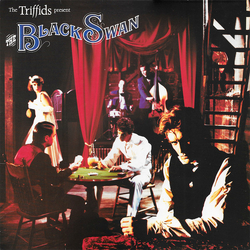 The Triffids The Triffids Present The Black Swan Vinyl LP USED