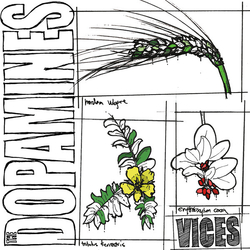 The Dopamines Vices Vinyl 12" USED
