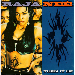 Raja-Neé Turn It Up Vinyl 12" USED