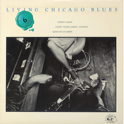 Detroit Junior / Luther "Guitar Junior" Johnson / Queen Sylvia Embry Living Chicago Blues Volume 6 Vinyl LP USED