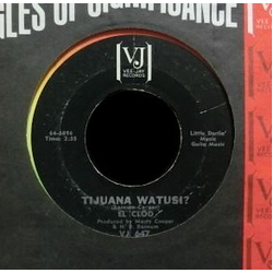 El Clod Gringo/Tijuana Watusi? Vinyl 7" USED