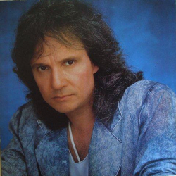 Roberto Carlos Roberto Carlos Vinyl LP USED