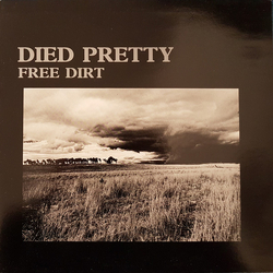 Died Pretty Free Dirt Vinyl LP USED