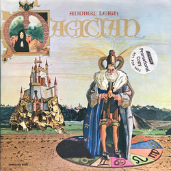 Andy Leigh Magician Vinyl LP USED