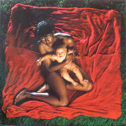 The Afghan Whigs Congregation Vinyl LP USED