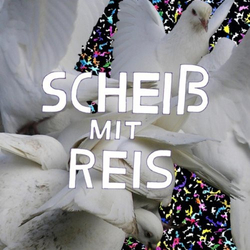 Les Cox (Sportifs) Scheiß Mit Reis Vinyl LP USED