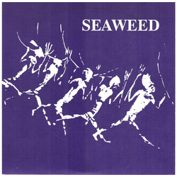 Seaweed Inside Vinyl 7" USED