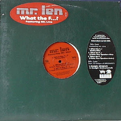 Mr. Len What The F...? / Straight Vinyl 12" USED
