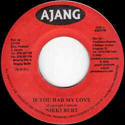 Nicky Burt / Fire Fly If You Had My Love / Rise USED VINYL 7INCH 45 RPM