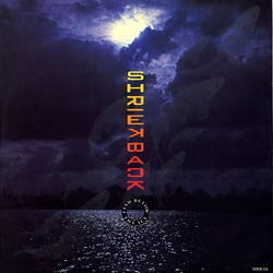 Shriekback Fish Below The Ice Vinyl 12" USED