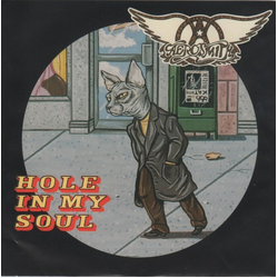 Aerosmith Hole In My Soul Vinyl 7" USED