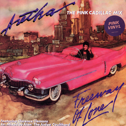 Aretha Franklin Freeway Of Love (The Pink Cadillac Mix) Vinyl 12" USED