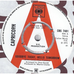 Capricorn (15) Goodbye Today, Hello Tomorrow Vinyl 7" USED