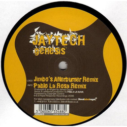 Jaytech Genesis Vinyl 12" USED
