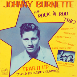 Johnny Burnette / The Johnny Burnette Trio Tear It Up Vinyl LP USED