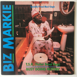 Biz Markie T.S.R. (Toilet Stool Rap) / Busy Doing Nuthin' Vinyl 12" USED