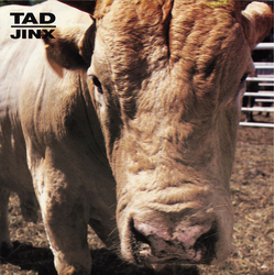 Tad Jinx Vinyl 7" USED